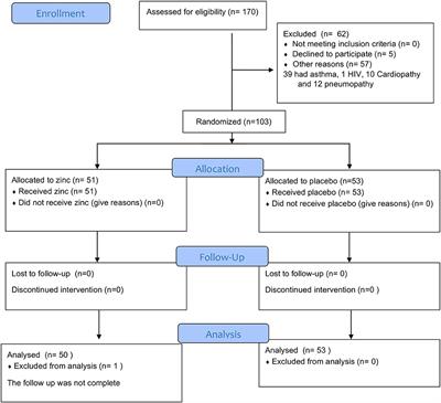 Zinc Supplementation Promotes a Th1 Response and Improves Clinical Symptoms in Fewer Hours in Children With Pneumonia Younger Than 5 Years Old. A Randomized Controlled Clinical Trial